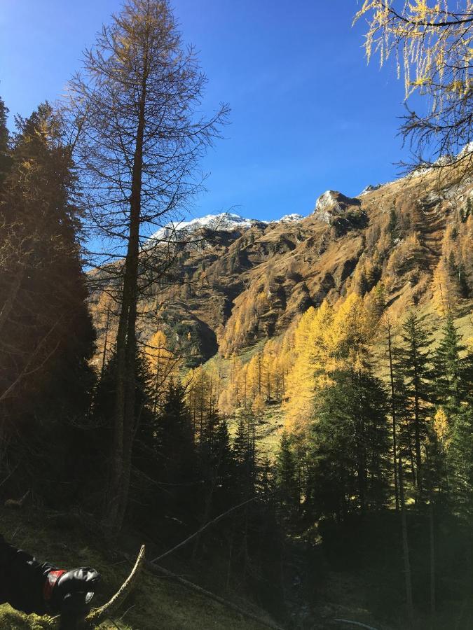 Apartmán Haus Greet Muhr Exteriér fotografie